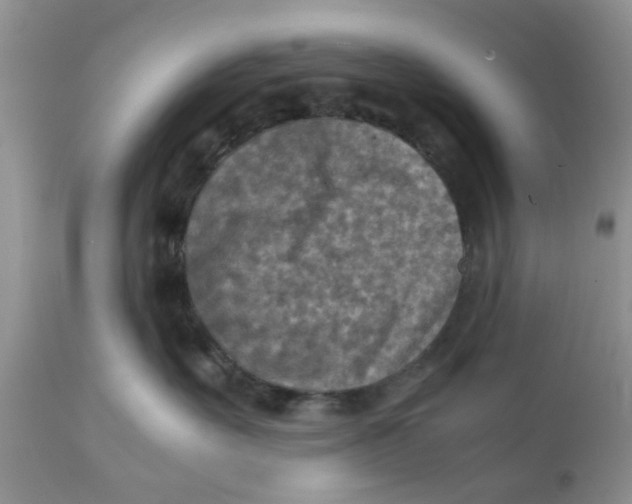 X0000111900527200908171241