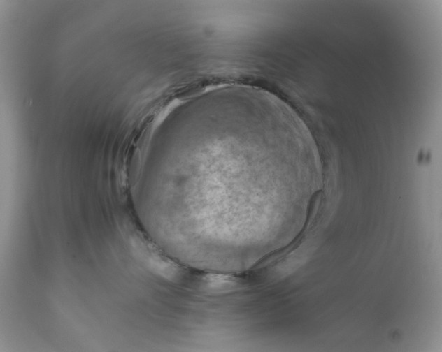 X0000111900528200908171241