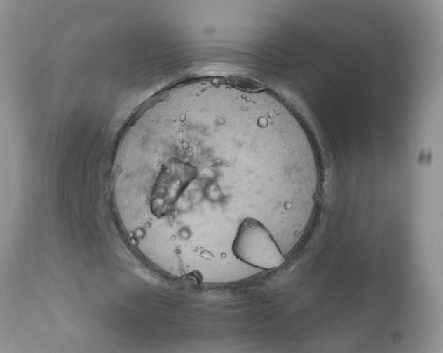 X0000111900529200908171241