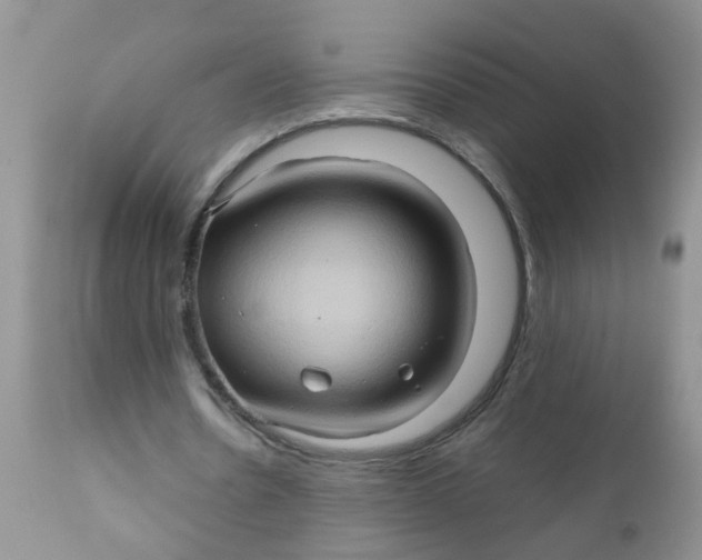 X0000111900530200908171241