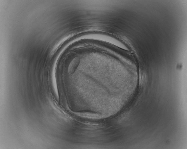 X0000111900531200908171241