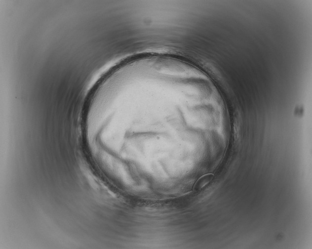 X0000111900532200908171241