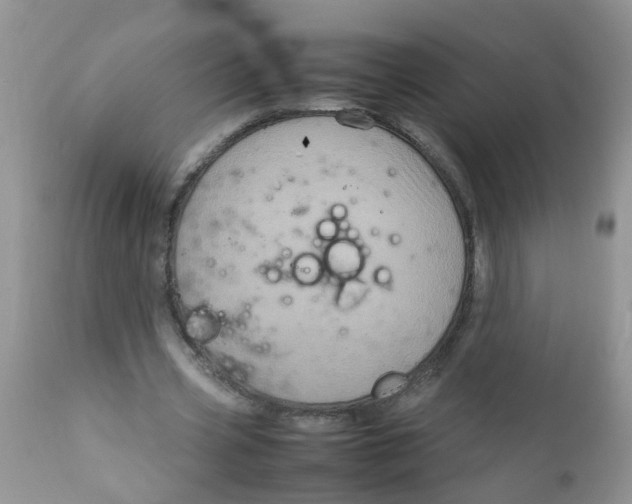 X0000111900533200908171241