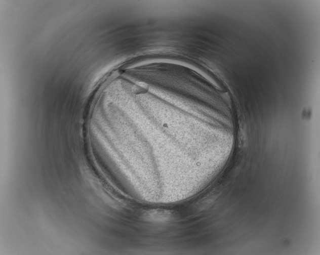 X0000111900535200908171241