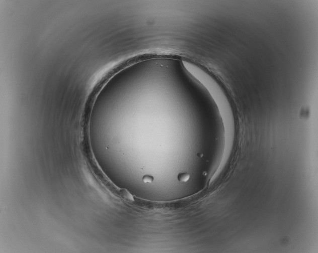 X0000111900536200908171241