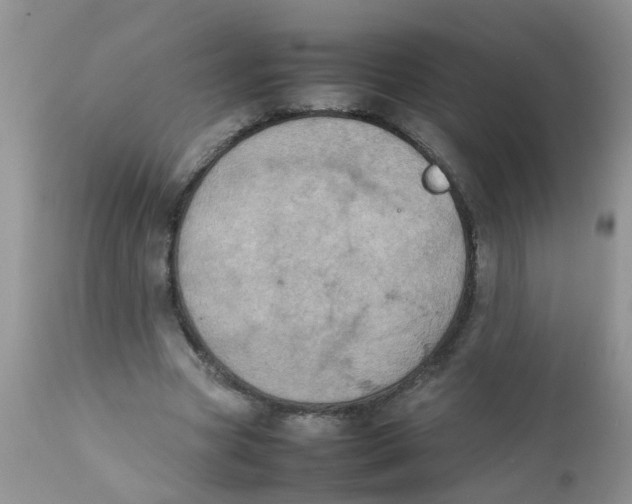 X0000111900537200908171241