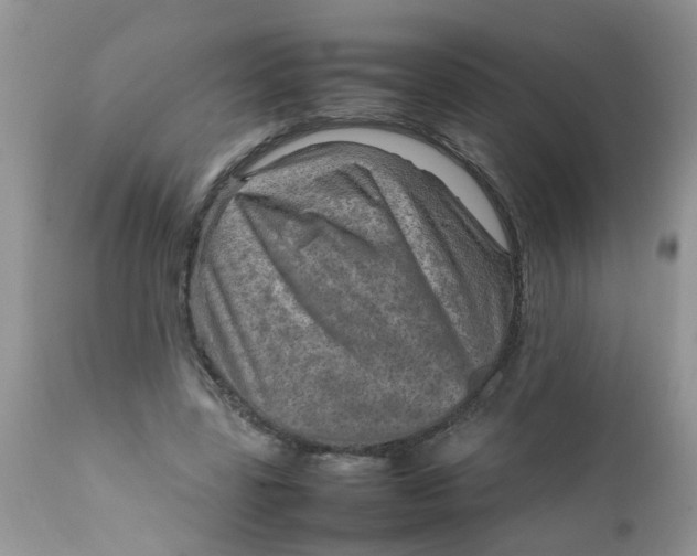 X0000111900539200908171241