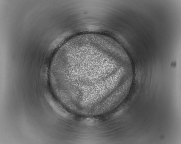 X0000111900542200908171241