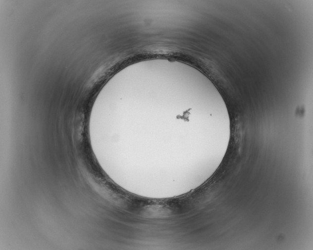 X0000111900544200908171241