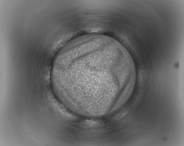 X0000111900545200908171241