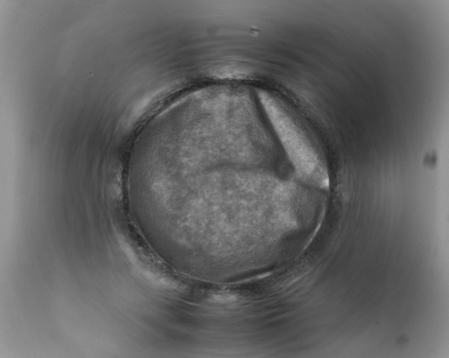 X0000111900547200908171241