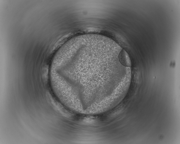 X0000111900550200908171241