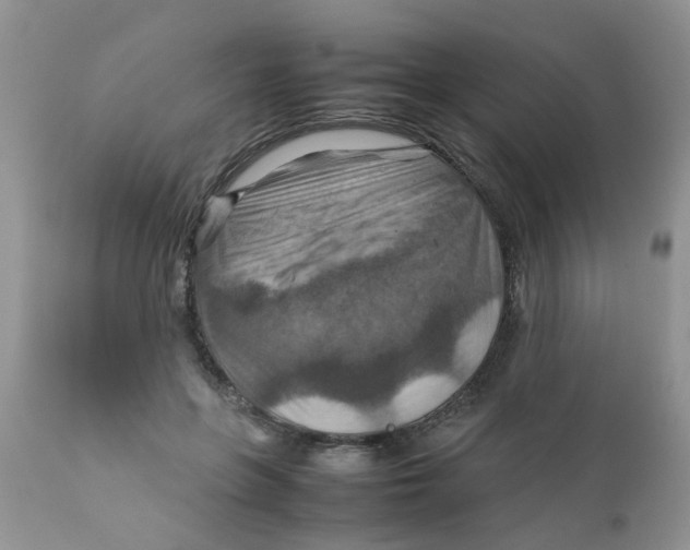 X0000111900551200908171241