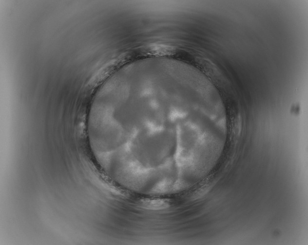 X0000111900553200908171241