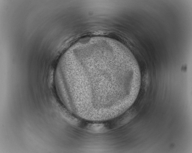 X0000111900554200908171241