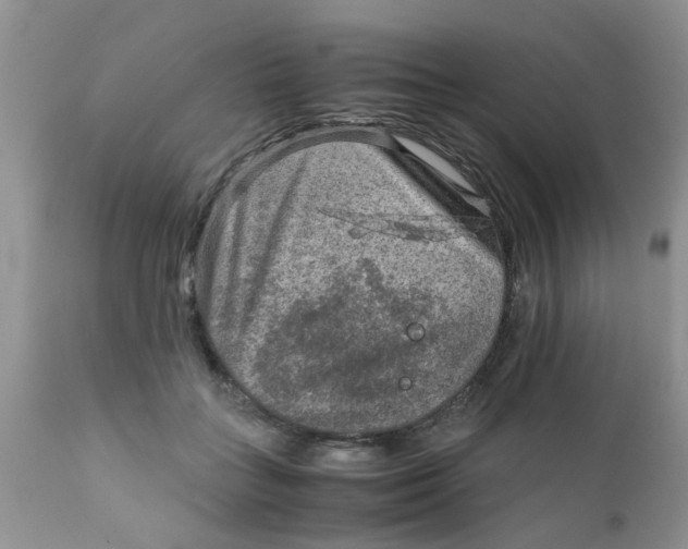 X0000111900555200908171241