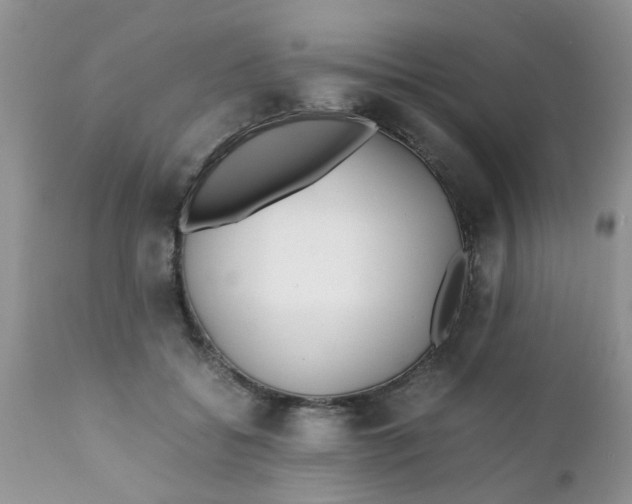 X0000111900556200908171241