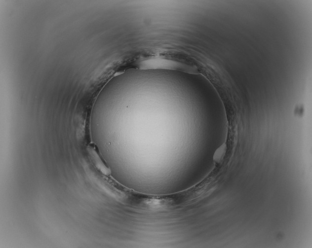 X0000111900558200908171241