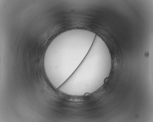 X0000111900559200908171241