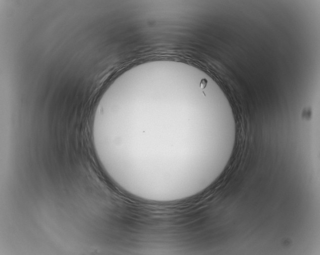 X0000111900560200908171241