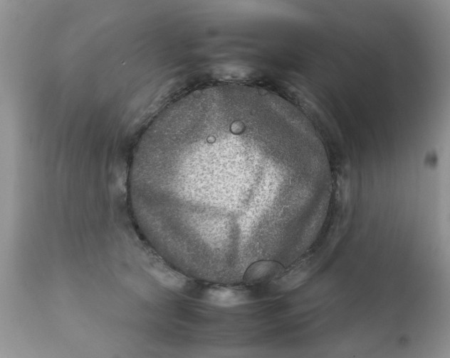 X0000111900561200908171241