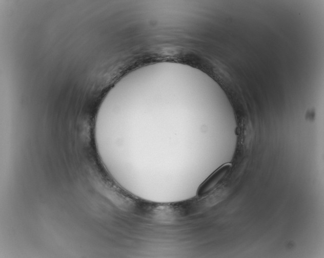 X0000111900562200908171241