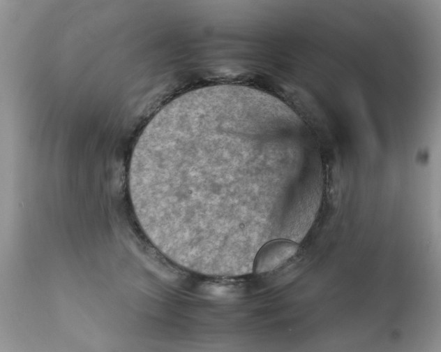 X0000111900563200908171241