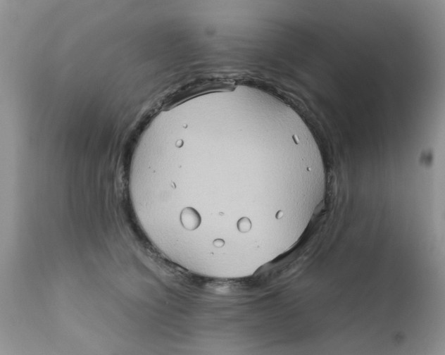 X0000111900564200908171241