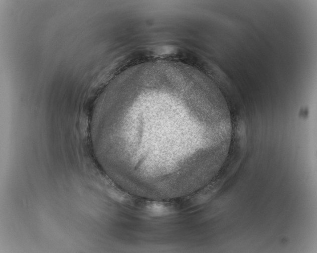 X0000111900565200908171241