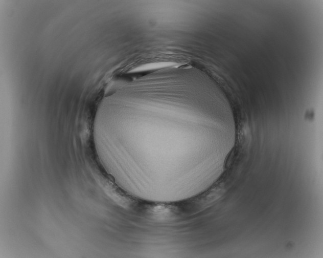 X0000111900566200908171241