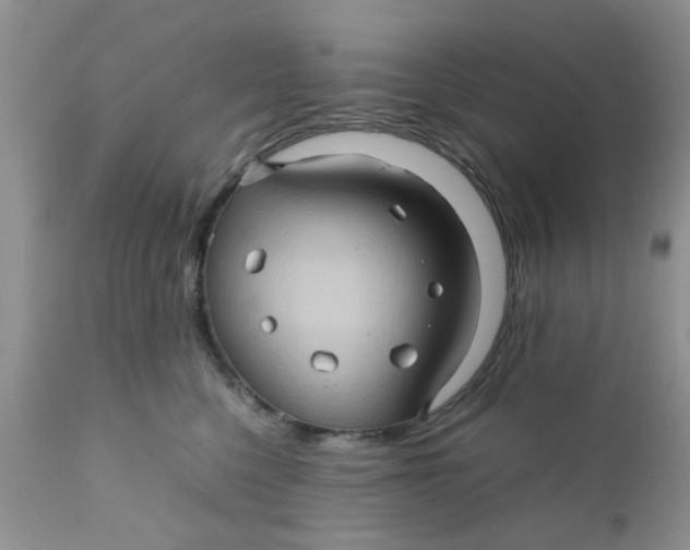 X0000111900568200908171241