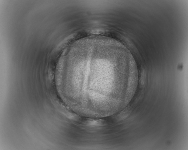 X0000111900569200908171241