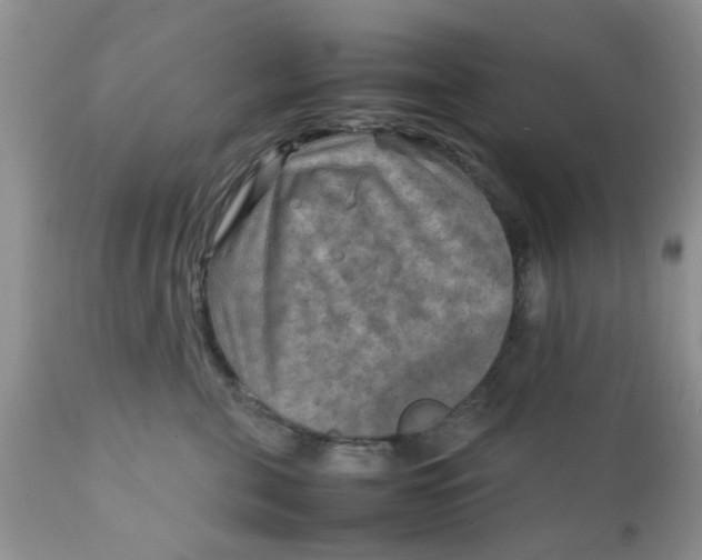 X0000111900571200908171241