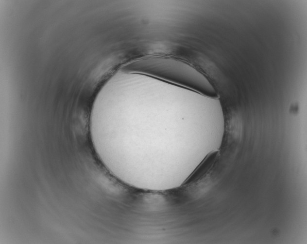 X0000111900572200908171241