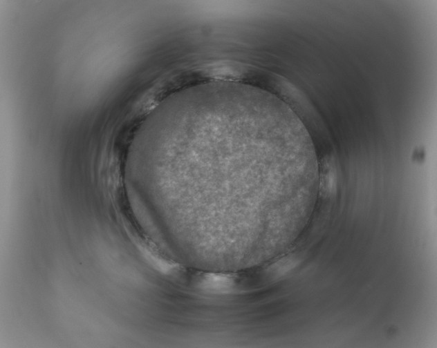 X0000111900573200908171241