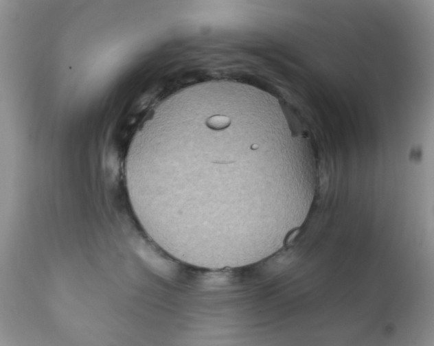 X0000111900574200908171241