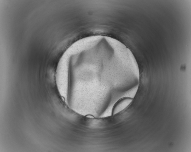 X0000111900575200908171241