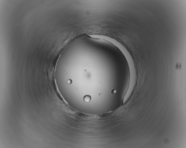 X0000111900576200908171241