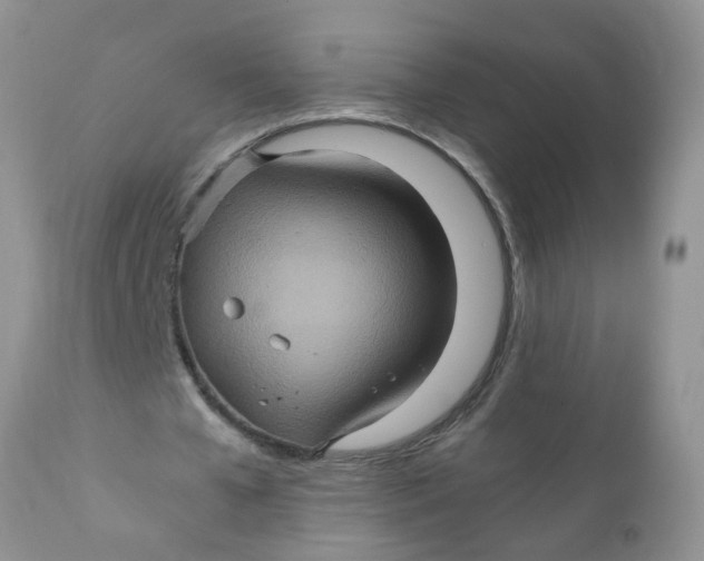 X0000111900577200908171241