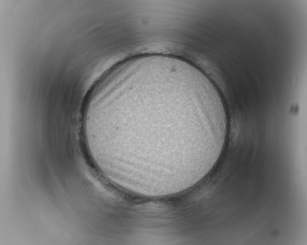 X0000111900578200908171241