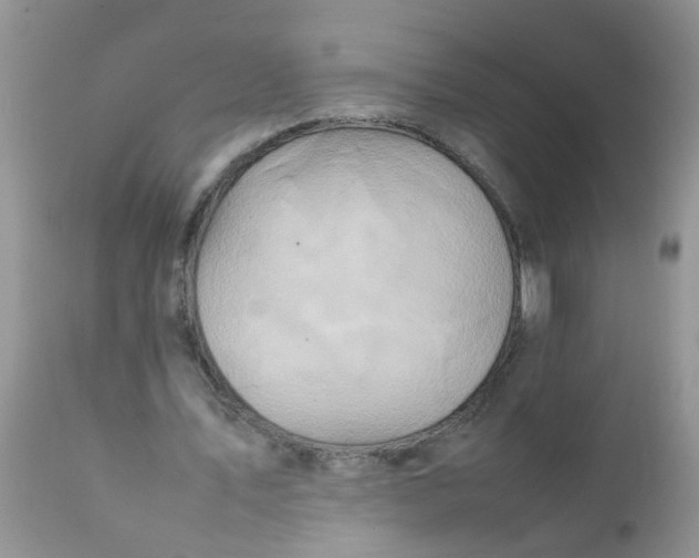 X0000111900579200908171241