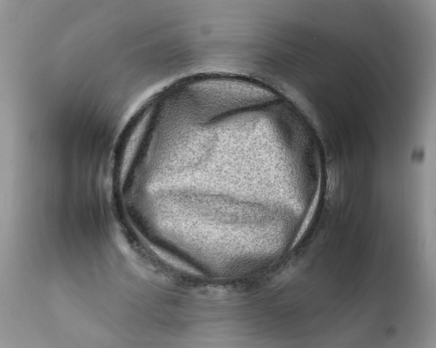 X0000111900580200908171241