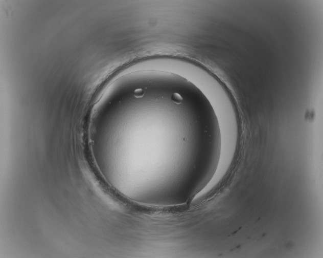 X0000111900581200908171241