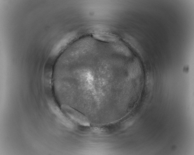 X0000111900585200908171241