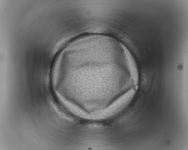 X0000111900586200908171241