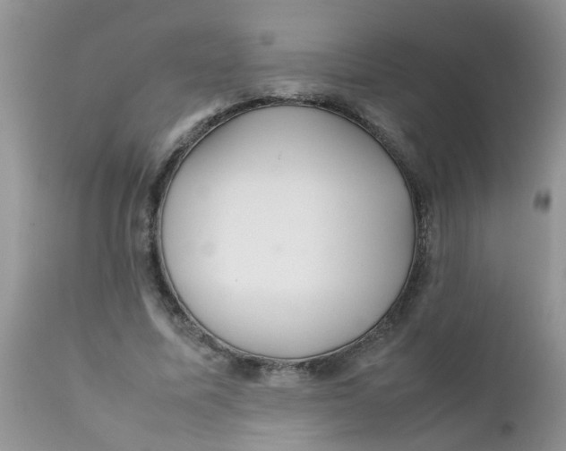 X0000111900587200908171241