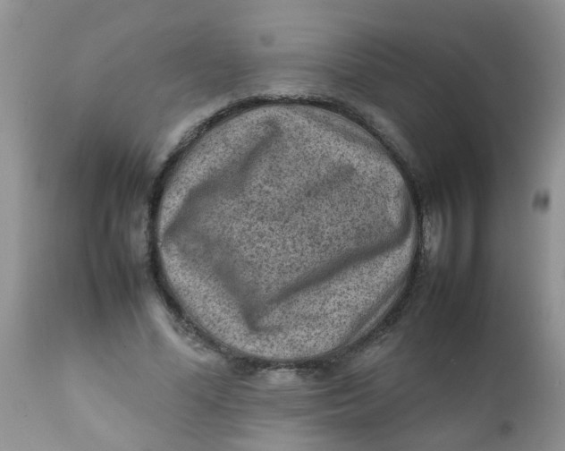 X0000111900588200908171240