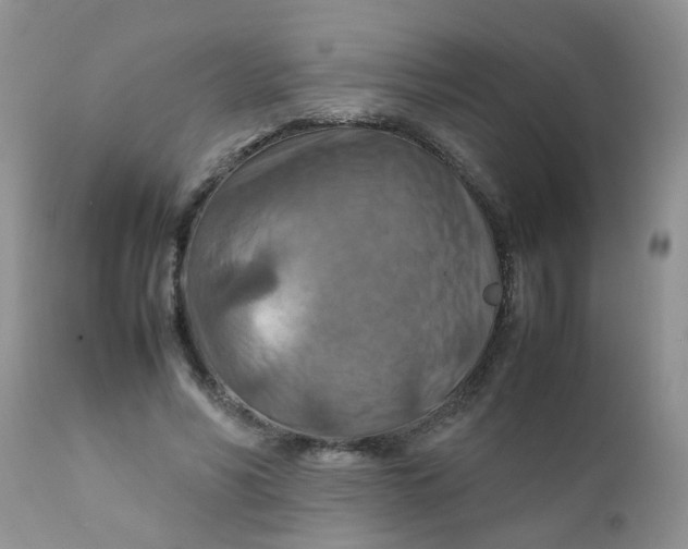 X0000111900590200908171240