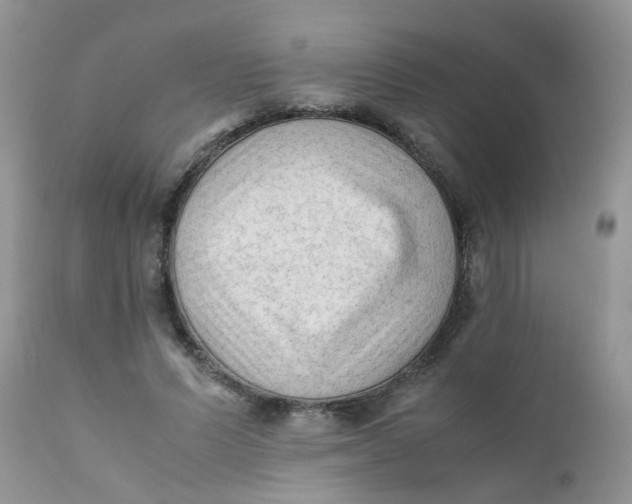 X0000111900591200908171240