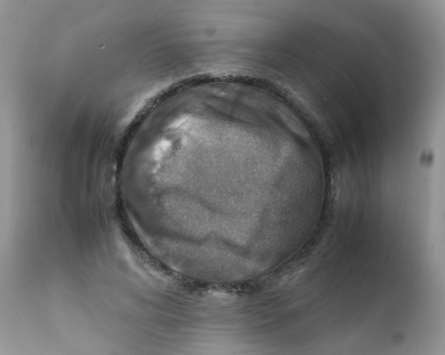 X0000111900592200908171240